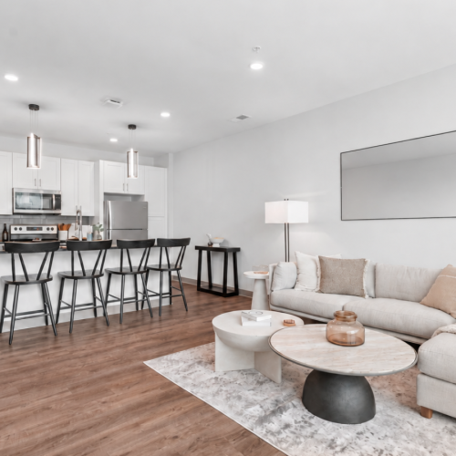 Styled apartment living room and kitchen